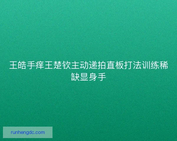 王皓手痒王楚钦主动递拍直板打法训练稀缺显身手